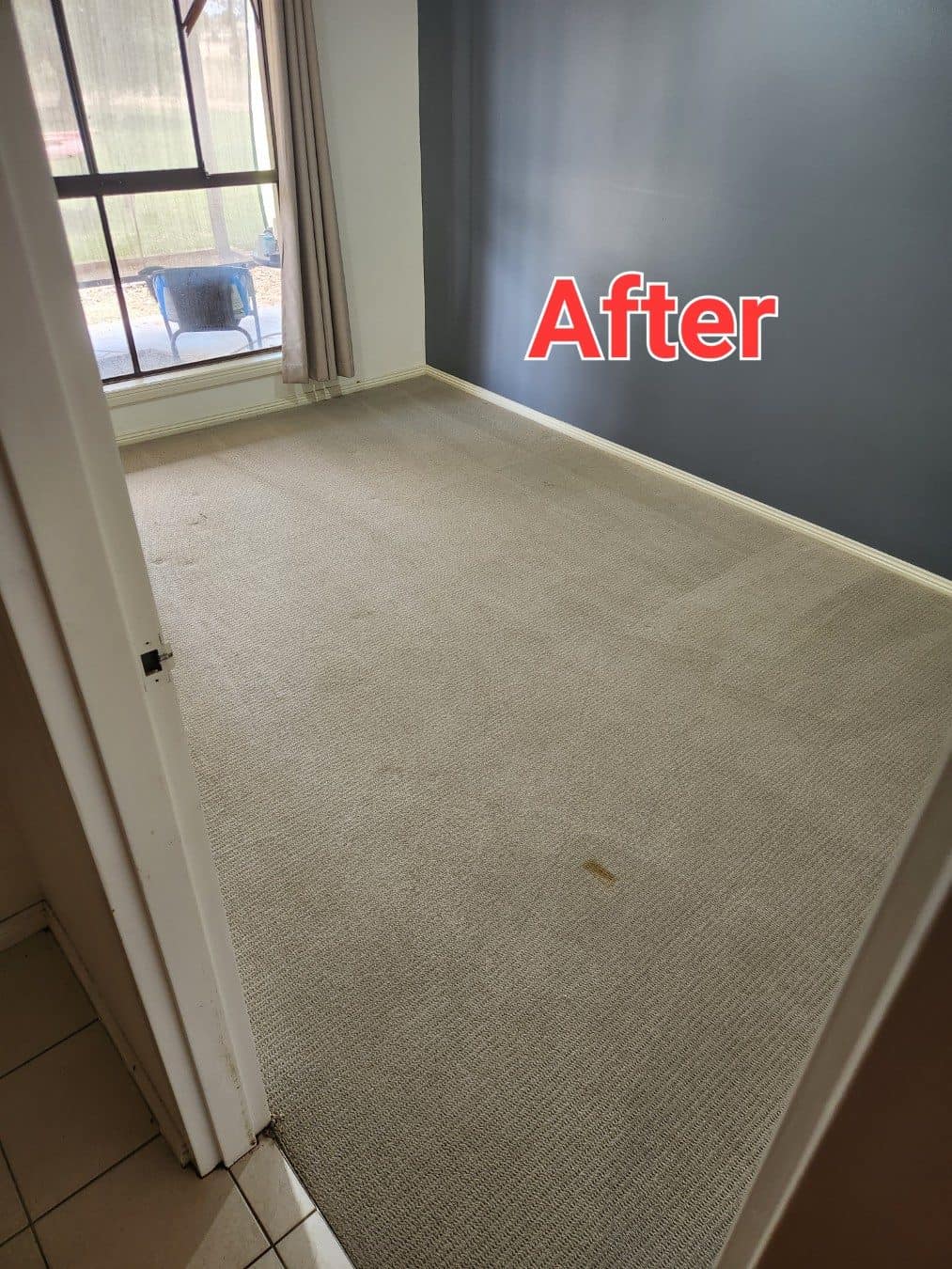 After - bedroom carpet in a Swan Hill rental after Ultraclean cleaning