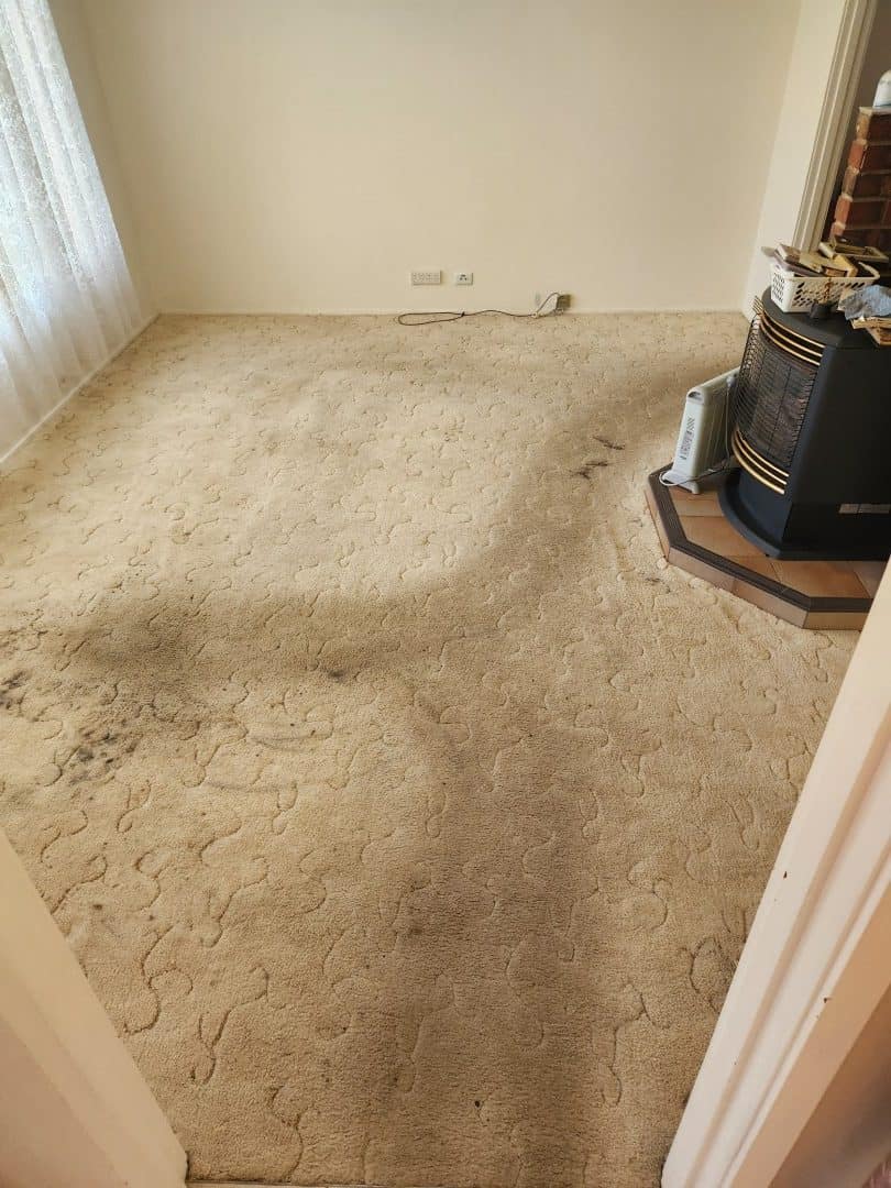 Before - lounge room carpet with a heavy traffic lane beside a wood heater before Ultraclean cleaning