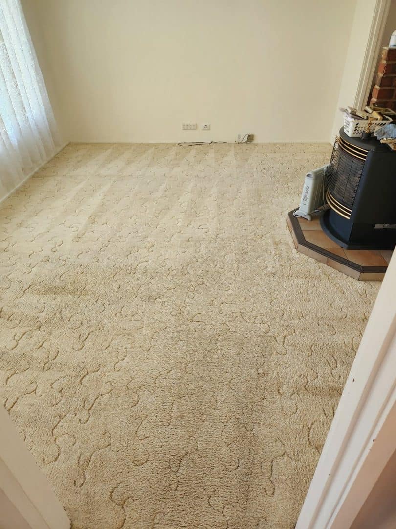 After - lounge room carpet with a heavy traffic lane beside a wood heater after Ultraclean cleaning